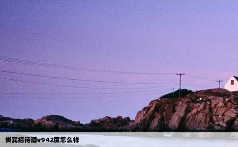 贵宾招待酒v942度怎么样