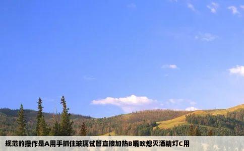 规范的操作是A用手抓住玻璃试管直接加热B嘴吹熄灭酒精灯C用