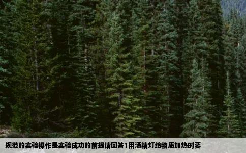 规范的实验操作是实验成功的前提请回答1用酒精灯给物质加热时要