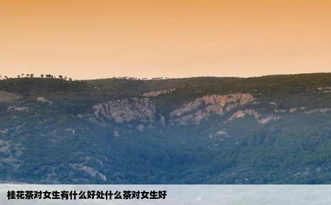 桂花茶对女生有什么好处什么茶对女生好