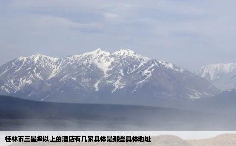 桂林市三星级以上的酒店有几家具体是那些具体地址