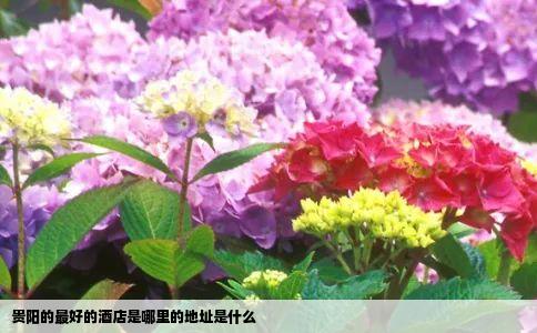 贵阳的最好的酒店是哪里的地址是什么