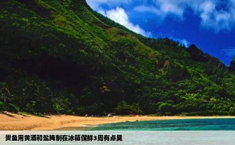 贵鱼用黄酒和盐腌制在冰箱保鲜3周有点臭