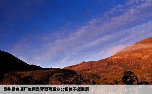贵州茅台酒厂集团昌黎葡萄酒业公司位于哪里啊