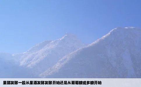 果醋发酵一般从果酒发酵发酵开始还是从葡萄糖或多糖开始