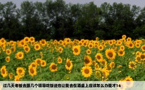 过几天老板去跟几个领导吃饭说也让我去在酒桌上应该怎么办我才16