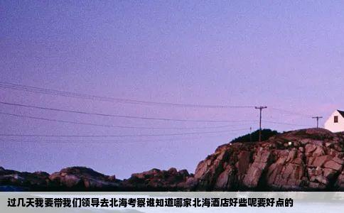 过几天我要带我们领导去北海考察谁知道哪家北海酒店好些呢要好点的