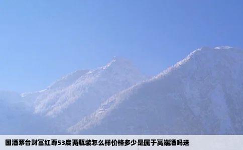 国酒茅台财富红尊53度两瓶装怎么样价格多少是属于高端酒吗送