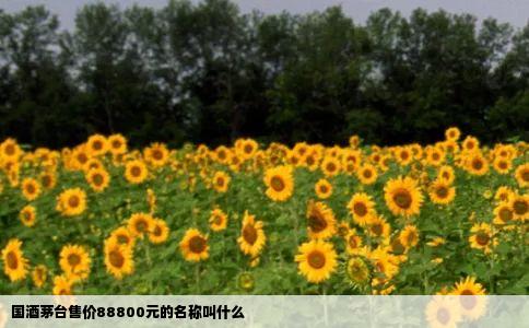 国酒茅台售价88800元的名称叫什么