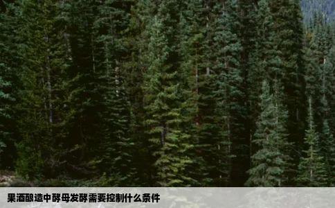 果酒酿造中酵母发酵需要控制什么条件