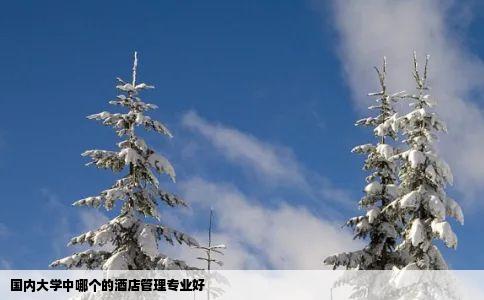 国内大学中哪个的酒店管理专业好