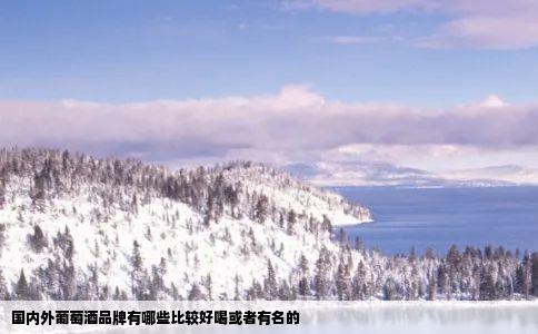 国内外葡萄酒品牌有哪些比较好喝或者有名的