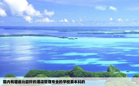 国内有哪些比较好的酒店管理专业的学校要本科的