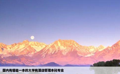 国内有哪些一本的大学有酒店管理本科专业