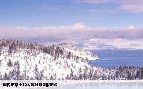 国内芝华士12大部分都是假的么
