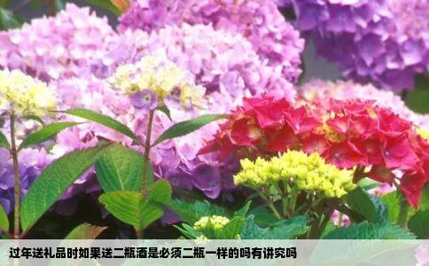 过年送礼品时如果送二瓶酒是必须二瓶一样的吗有讲究吗