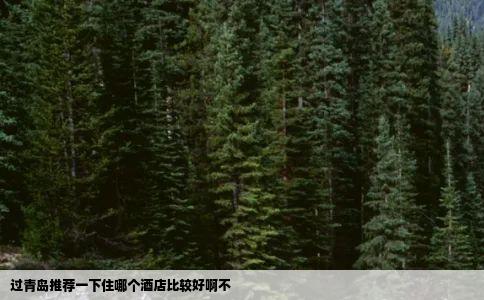 过青岛推荐一下住哪个酒店比较好啊不