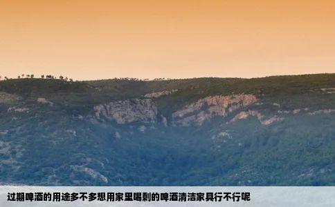 过期啤酒的用途多不多想用家里喝剩的啤酒清洁家具行不行呢