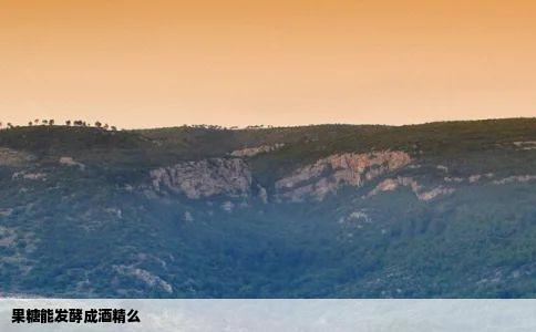 果糖能发酵成酒精么