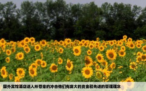 国外宾馆酒店进入所带来的冲击他们有庞大的资金和先进的管理理念