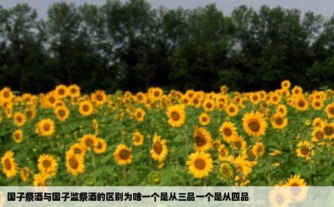 国子祭酒与国子监祭酒的区别为啥一个是从三品一个是从四品