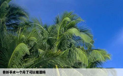 骨折手术一个月了可以喝酒吗