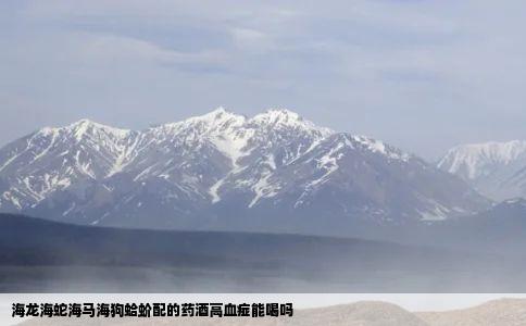 海龙海蛇海马海狗蛤蚧配的药酒高血痖能喝吗