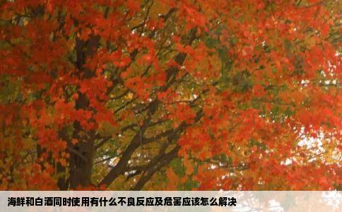 海鲜和白酒同时使用有什么不良反应及危害应该怎么解决