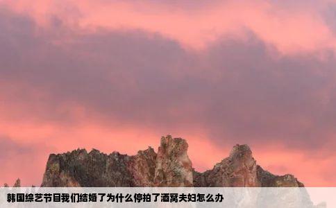 韩国综艺节目我们结婚了为什么停拍了酒窝夫妇怎么办