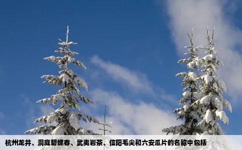 杭州龙井、洞庭碧螺春、武夷岩茶、信阳毛尖和六安瓜片的名称中包括