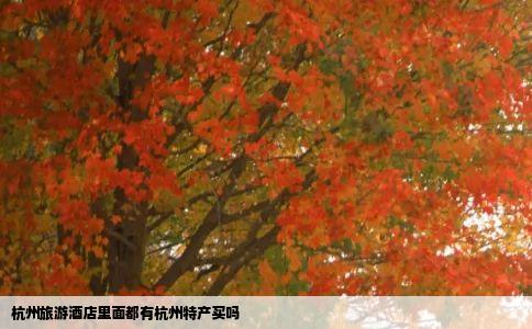 杭州旅游酒店里面都有杭州特产买吗