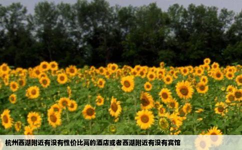 杭州西湖附近有没有性价比高的酒店或者西湖附近有没有宾馆