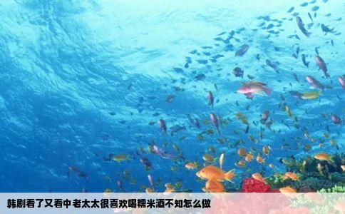 韩剧看了又看中老太太很喜欢喝糯米酒不知怎么做