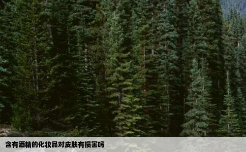 含有酒精的化妆品对皮肤有损害吗