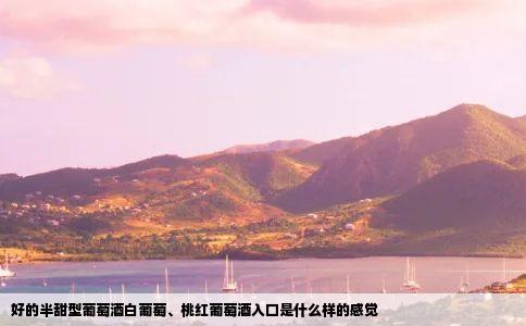 好的半甜型葡萄酒白葡萄桃红葡萄酒入口是什么样的感觉