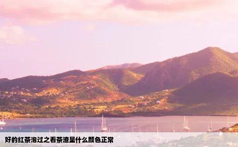 好的红茶泡过之看茶渣呈什么颜色正常
