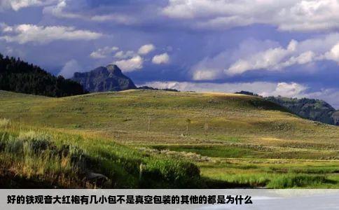 好的铁观音大红袍有几小包不是真空包装的其他的都是为什么