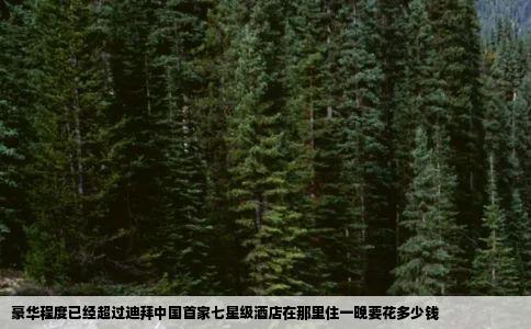 豪华程度已经超过迪拜中国首家七星级酒店在那里住一晚要花多少钱