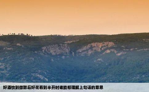 好酒饮到微醉后好花看到半开时谁能帮理解上句话的意思