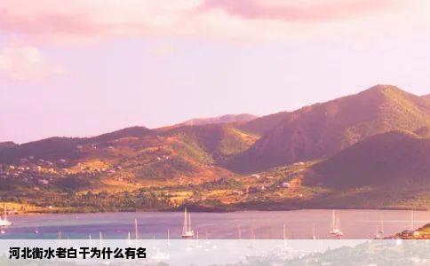 河北衡水老白干为什么有名