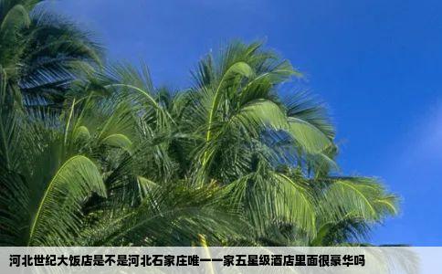 河北世纪大饭店是不是河北石家庄唯一一家五星级酒店里面很豪华吗