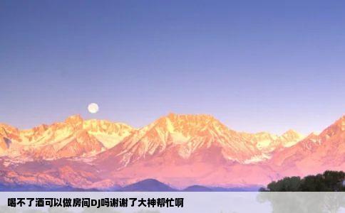 喝不了酒可以做房间DJ吗谢谢了大神帮忙啊