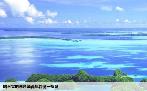 喝不完的茅台酒两瓶能倒一瓶吗