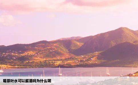 喝茶叶水可以解酒吗为什么呢