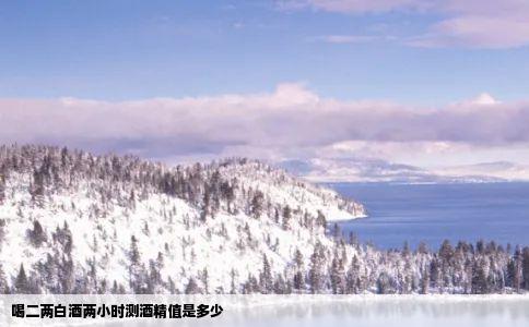 喝二两白酒两小时测酒精值是多少