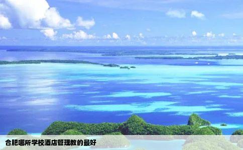 合肥哪所学校酒店管理教的最好