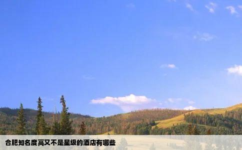 合肥知名度高又不是星级的酒店有哪些