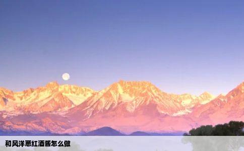 和风洋葱红酒酱怎么做