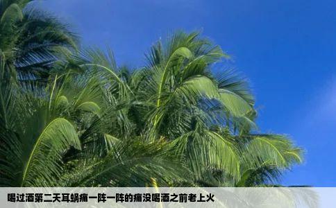 喝过酒第二天耳蜗痛一阵一阵的痛没喝酒之前老上火
