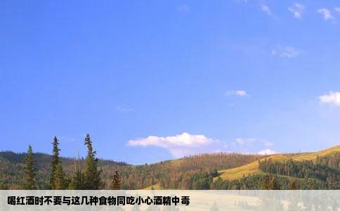 喝红酒时不要与这几种食物同吃小心酒精中毒